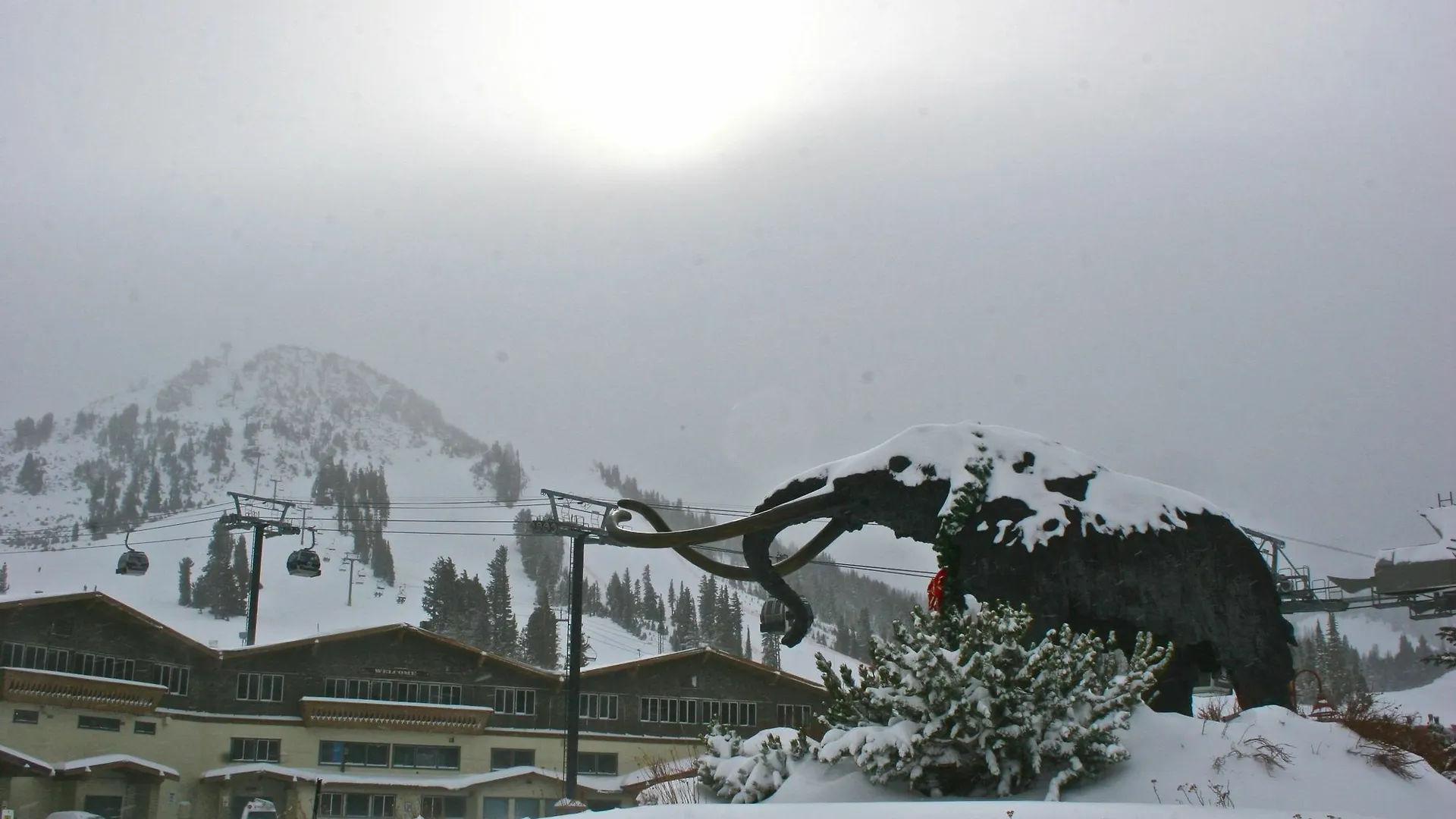 Alpenhof Lodge Mammoth Lakes 0*,  USA